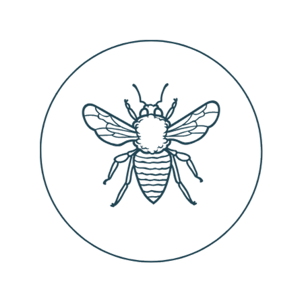 The Hive hive-inspired icon