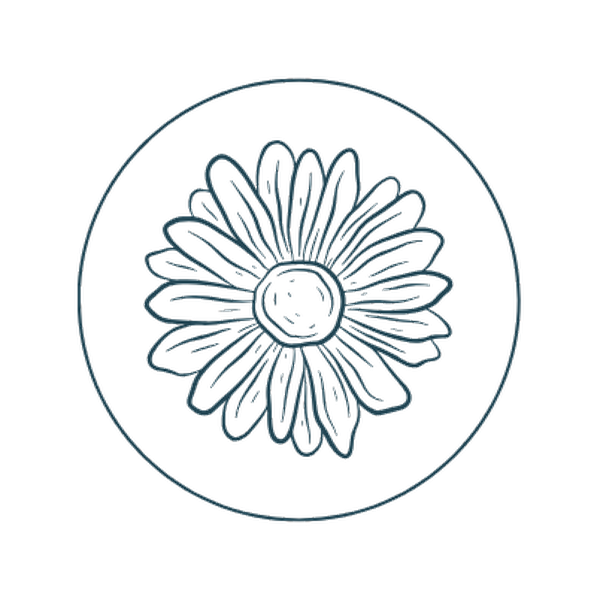 The Hive hive-inspired icon