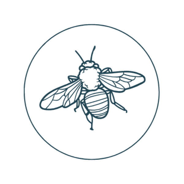 The Hive hive-inspired icon