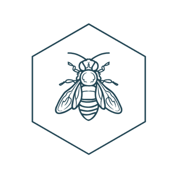 The Hive hive-inspired icon