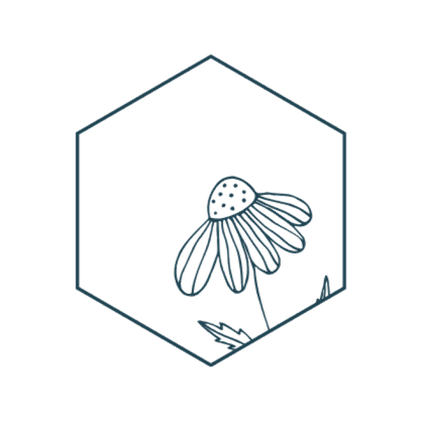 The Hive hive-inspired icon