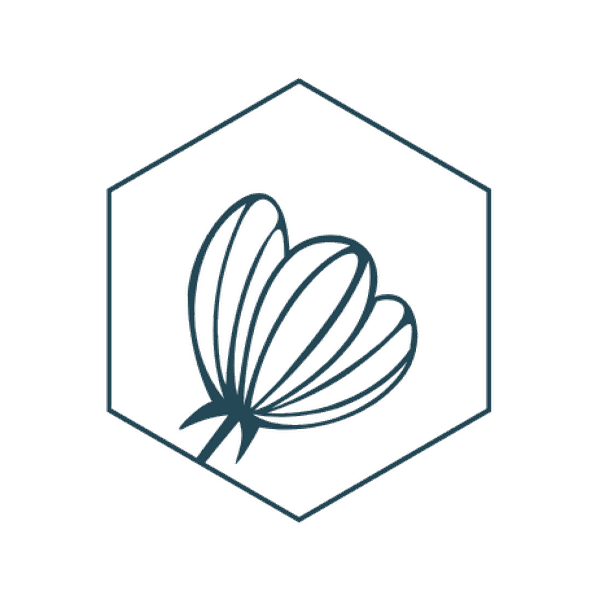 The Hive hive-inspired icon