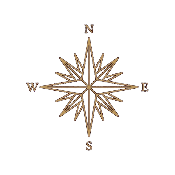 Lady V Travels compass icon
