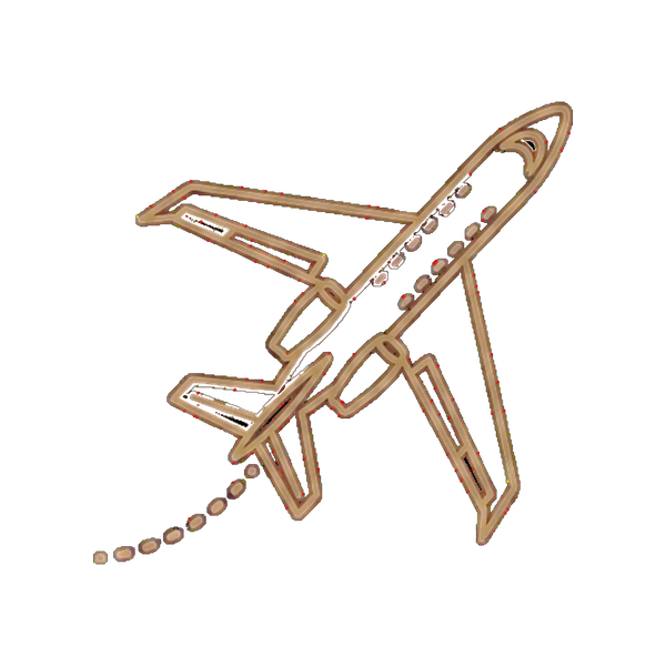 Lady V Travels plane icon