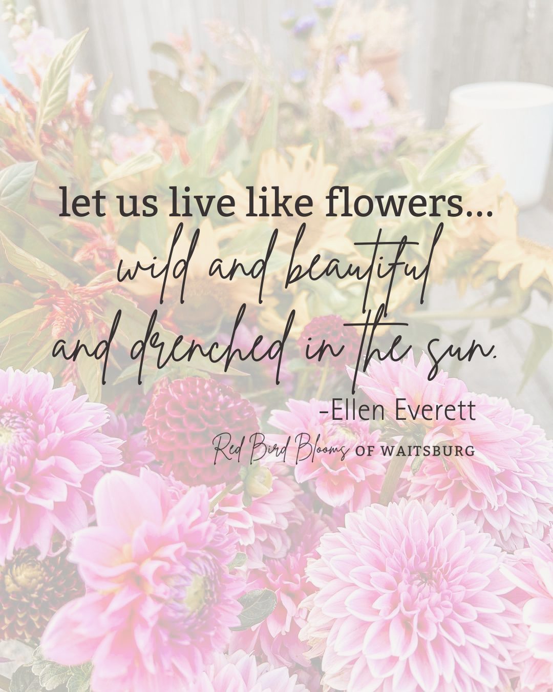 Red Bird Blooms social template